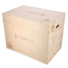 DSC01 PLYO BOX HMS