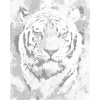 ZUTY Bodkovanie - TIGER VO FARBÁCH Rámovanie: vypnuté plátno na rám, Rozmer: 40x50 cm