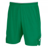 TOLEDO II SHORT GREEN 2XS
