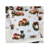 INTERMEDIC SK Obliečka na vankúš Čarovný luskáčik 40x40 cm – 100 % bavlna