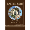 Kaleidoskop života a vlády Karla IV. - Dalibor Mlejnský