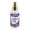Purity Vision Levanduľová voda BIO 100 ml
