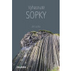 Vyhasnuté sopky - Ján Lacika