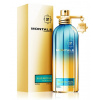 Montale Blue Matcha, Parfumovaná voda 100ml unisex