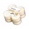 Bolsius Aromatic 2.0 Vonné čajové sviečky Maxi 8ks, Vanilla