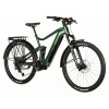 Leader Fox Benton 29