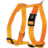 ZOLUX nastavitelný postroj s bočným zapínaním oranžový 1,5CM (krk 27-37cm / hrudník 40-43,5cm) (ZOLUX nastavitelný postroj s bočným zapínaním oranžový 1,5CM (krk 27-37cm / hrudník 40-43,5cm))