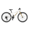AUTHOR BICYKEL AUTHOR LIMIT 24 2026 12,5