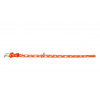 COLLAR Kožený obojok s hviezdami Glamour, 19-25cm/9mm, oranžová
