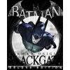 Batman Arkham Origins Blackgate Deluxe Edition (PC)