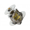 Termostat Ford Mondeo I II 93-00