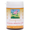 PRECHÁDZKA RUŽOVÝM SADOM - BU YANG HUAN WU JIA JIAN WAN - TCM Herbs Objem: 100 tabliet / 30 g
