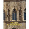 Praha středověká - Jan Royt