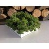 Tŕstie 17x17 cm so škrabaním (Tŕstie 17x17 cm so škrabaním)