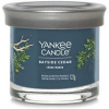 Sviečka YANKEE CANDLE Bayside Cedar 122 g (5038581155388)