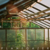 Show Me A Dinosaur - Plantgazer / Digipack [LP]