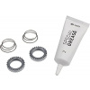 Servisní kit DT Swiss Ratchet Standard 36 zubů