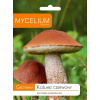 Podhubie Mycélium Kozák dubový 0,01 kg
