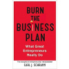 Burn The Business Plan