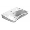 Sapho Disabled 10TP60060