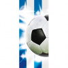 Dverová fototapeta - DV0199 - Futbalová lopta 91cm x 211cm - Samolepiaca fólia