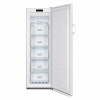 Gorenje FN4172CW