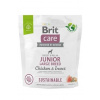 Brit Care Sustainable Junior Large Breed Chicken & Insect 1 kg
