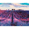 ZUTY Maľovanie podľa čísel - LEVANDUĽOVÉ POLE A STROMY V DIAĽKE Rámovanie: vypnuté plátno na rám, Rozmer: 40x50 cm