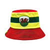 Team Nation Bucket Hat Adults Wales Mens