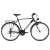 Kenzel ARW TR 2020