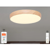NEDES LED stropné svietidlo OPAL + diaľkový ovládač + Wifi 48W - LC942W
