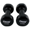 Vinylové činky MASTER 2 x 2,5 kg