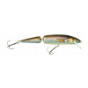 Wobler DORADO CLASSIC JOINTED PTR 16 cm 34 g plávajúci