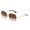 Dolce&Gabbana DG2242 02/13