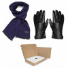 Rukavice - Darčeková súprava - pánske rukavice + šál (Darčeková súprava - pánske rukavice + šál)
