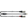 Cordial CFY 3 WMM-LONG audio kábel 3 m 3.5 mm 2 x XLR (3-pin) čierny, strieborný