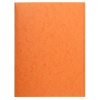 Doska s chlopňami, kartón, A4, EXACOMPTA, oranžová