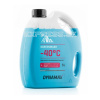 Dynamax ScreenWash -40°C 5L