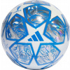 Futbalová lopta Adidas UCL Training IN9326 - veľ. 5
