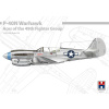 Hobby 2000 Curtiss P-40N Warhawk Aces of The 49th FG 1/48