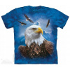 Guardian Eagle - The Mountain 2XL