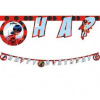 Procos Banner Happy Birthday Minnie