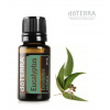 doTERRA Esenciálny olej Eucalyptus 15 ml