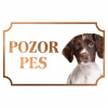 Drentský prepeličiar - Kovová tabuľka POZOR PES