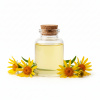 Ekokoza Rastlinný macerát v oleji - Arnika (extrakt), 30 ml