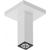 Hansgrohe Príslušenstvo - Sprchové rameno stropné, 11 cm, matná biela 24338700