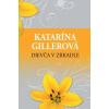 Dievča v zrkadle - Gillerová Katarína