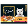Cesar Výber kapsičiek pre psa v ŽELÉ mix mäso so zeleninou 12x100g