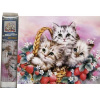 Norimpex Diamantové maľovanie Mačiatka v jahodách 40x30cm