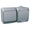 CEDAR ZAS VDE + SPI 1 IP44 SE